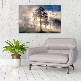 Tablou cu copac în ceață (90x60 cm)