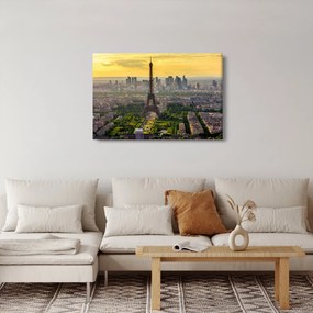 Tablou - Panorama Parisului (90x60 cm)
