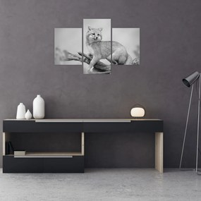 Tablou - Vulpe gri (90x60 cm)