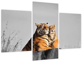 Tablou - Tigroaica cu pui, versiunea alb-negru (90x60 cm)