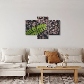Tablou cu planta verde (90x60 cm)