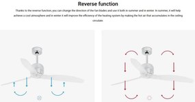 Ventilator cu telecomanda DECO FAN M transparent