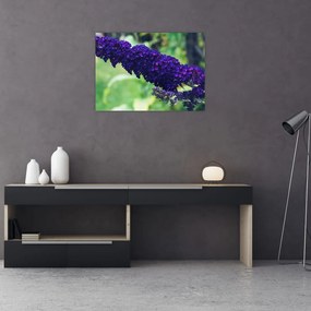 Tablou pe sticlă cu floare albastră (70x50 cm)
