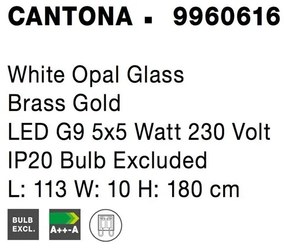 Lustra cu 5 surse de lumina design modern CANTONA NVL-9960616