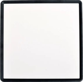 Fulgur s-43103 - Plafonieră LED NOMY LED/32W/230V CCT IP40 40x40 cm neagră