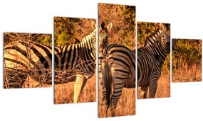 Tablou cu zebre (125x70 cm), în 40 de alte dimensiuni noi