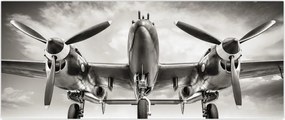 Tablou - Warbird (120x50 cm)