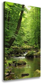Tablou pe pânză canvas Râul în pădure