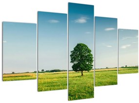 Tablou cu copaci pe luncă (150x105 cm)