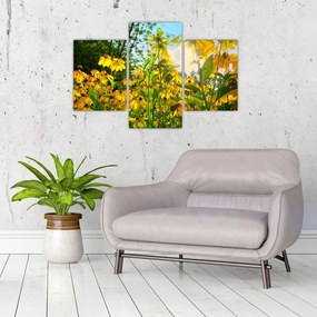 Tablou - Flori galbene (90x60 cm)