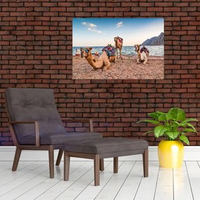 Tablou cu cămile (90x60 cm)