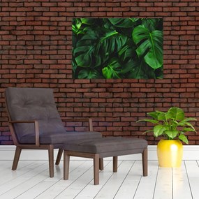 Tablou cu frunze Monstery (90x60 cm)