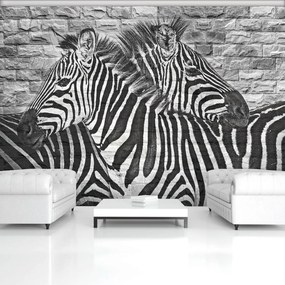 Fototapet - Zebre pe peretele din cărămizi (152,5x104 cm)