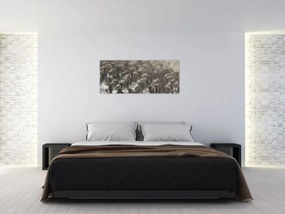 Tablou - Turmă de antilope sălbatice (120x50 cm)