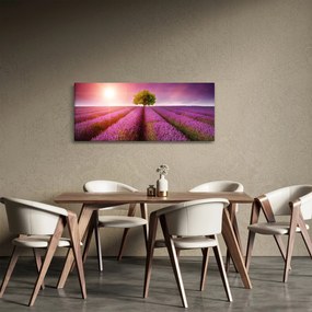 Tablou câmp cu lavandă (120x50 cm)
