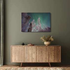 Tablou cu aurora borealis deasupra pomilor înghețați (90x60 cm)