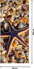 Fototapet pentru ușă - Stea de mare (95x205cm)