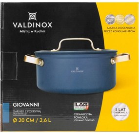 Valdinox Caserolă cu capac Giovanni 20 cm, 2,6 l, 2,6 l