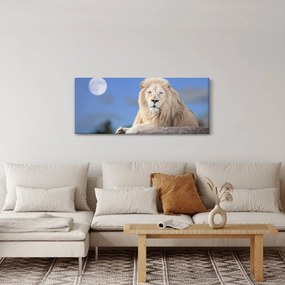 Tablou - Leu alb (120x50 cm)