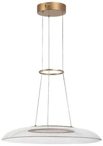 Rabalux 72411 - Lustră suspendată pe cablu ZOFRAEL LED/24W/230V 3000K