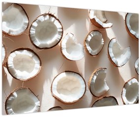 Tablou - Nuci de cocos (90x60 cm)