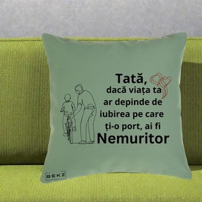 Cadou pentru Tata - Perna Personalizata Tata Nemuritor Bicicleta, 40x40 cm, Verde, Husa Detasabila, Perna Inclusa, BEKZ®