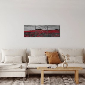Tablou cu maci (cu ceas) (90x30 cm)