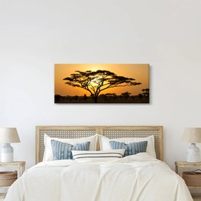 Tablou - Savana africană (120x50 cm)