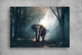 Tapet Premium Canvas - Elefantul din padure