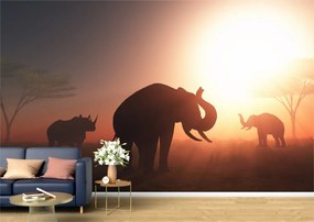 Tapet Premium Canvas - Elefantii la apus