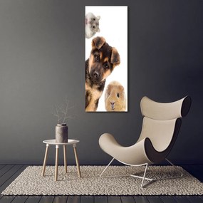 Print pe pânză Animale de companie