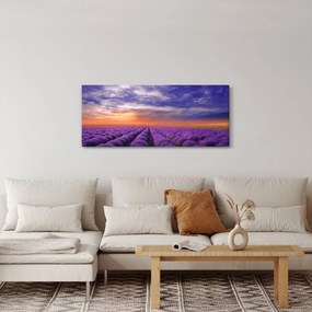Tablou câmpului cu lavandă (120x50 cm)