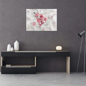 Tablou pe sticlă - Fructe congelate (70x50 cm)