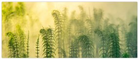 Tablou - Detaliu de primăvară natura cețoasă (120x50 cm)
