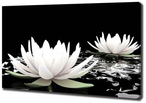 Tablou canvas Nuferi