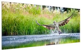 Tablou pe pânză K011261K12050 (120x50 cm), în 40 de alte dimensiuni noi