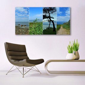 Tablou pe panza canvas Plaja copac Potecă Peisaj Verde Maro Negru