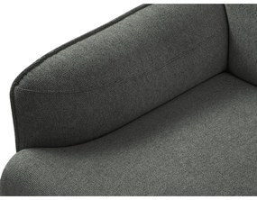 Fotoliu Windsor &amp; Co Sofas Neso, gri