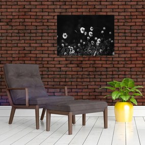 Tablou pe sticlă - Pajiște cu iarbă de cozonac N⁰1 (70x50 cm)