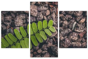 Tablou cu planta verde (90x60 cm)