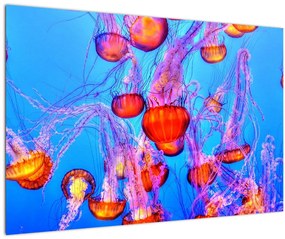 Tablou cu meduse în mare (90x60 cm)