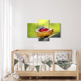 Tablou cu castani (90x60 cm)