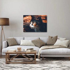 Tablou - Privirea pisicii (70x50 cm)