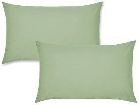 Fețe de pernă 2 buc. din bumbac percale 75x50 cm Easy Iron Percale – Catherine Lansfield