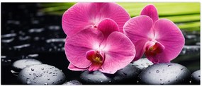 Tablou - Orhidee roz cu frunze de palmier (120x50 cm)