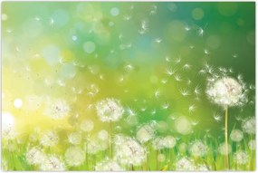 Tablou - Păpădie înflorită (90x60 cm)