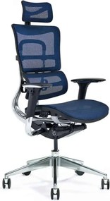 Scaun lemn masiv de birou ErgoComfort Plasă Respirabilă Albastru