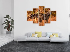 Tablou cu zebre (150x105 cm)