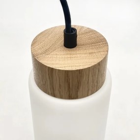 Lustră pe cablu MARKUS 5xE27/15W/230V negru/stejar