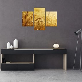 Tablou - Spice de cereale (90x60 cm)